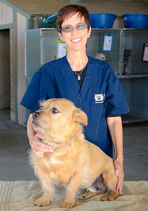 Kate Hurley with a dog in an animal shelter