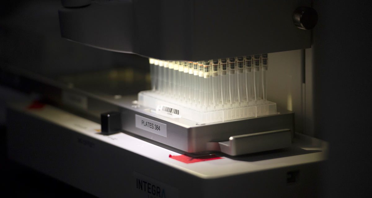 Samples go from pipettes to wells in a tray, by machine.