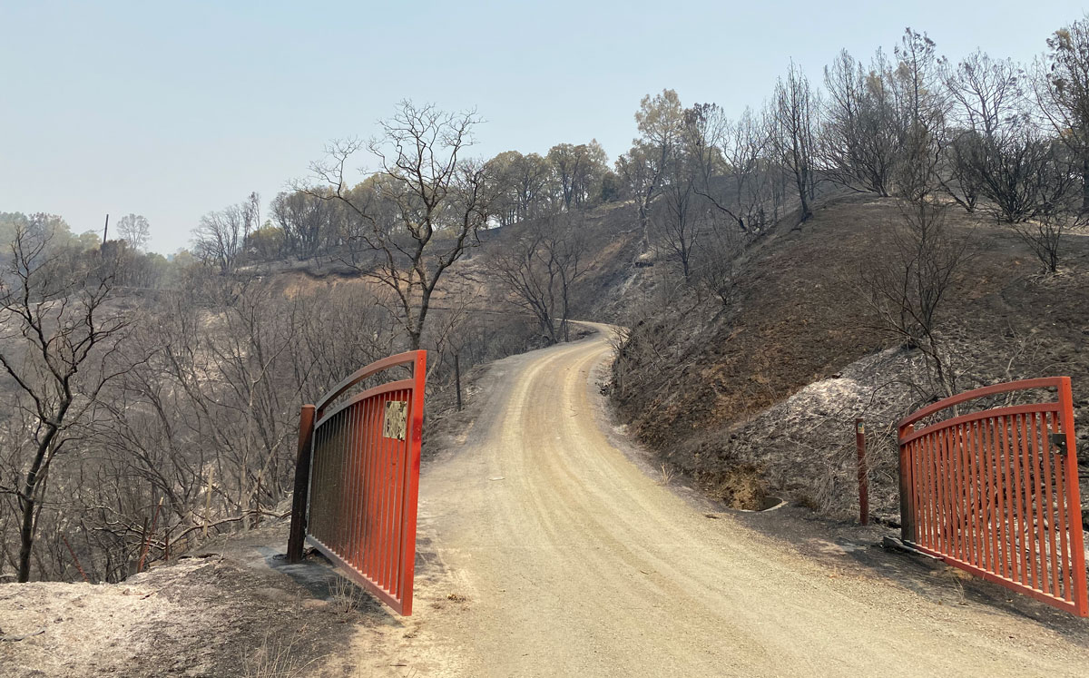 Iron entrance goat, blackened ground beyond