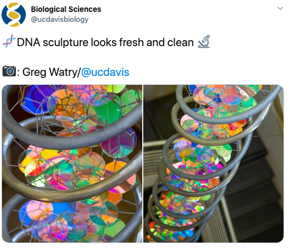 Bio Sci Sculpture