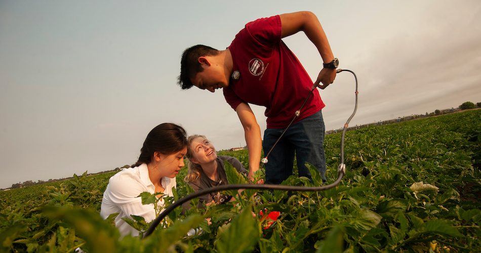Undergraduates Aya Suzuki, a biosystems engineering major; Mackenzie Gulliams, a civil and environmental engineering major, and Marcoluis Garcia, hydrology major, work together to get measurements of soil moister content during a new agricultural research project on crop irrigation undeground with a modern computerized irrigation/fertilization system at the Campbell Tract on July 3, 2018. The tomato research field is a study in managing water and fertilizer together to minimize groundwater contamination, "Fertigation."