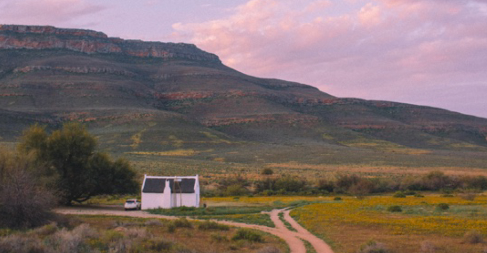 During study abroad, Dea and his friends often rented cars and went on weekend trips out of Cape Town, this is in the Cederberg Mountains during the annual spring flower bloom. (Matthew Dea)