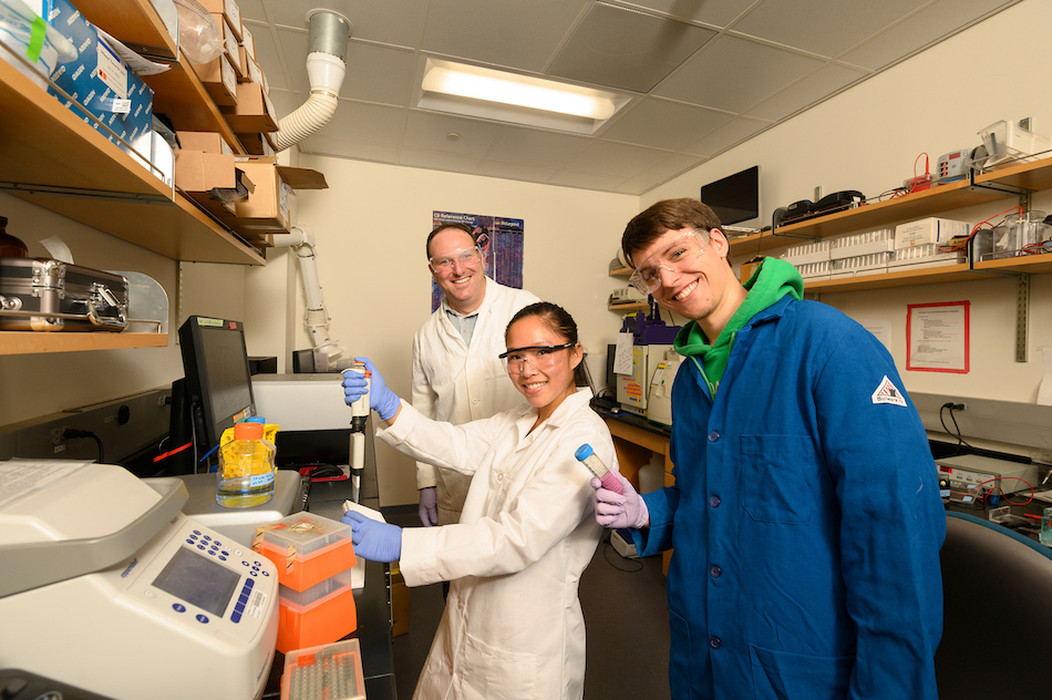 Associate professor Justin Siegel, Peishan Huang, a chemistry major, and Ryan Caster, a master student and lab manager, are working on the new Food Valley, which is a Big Idea, on August 27, 2019.