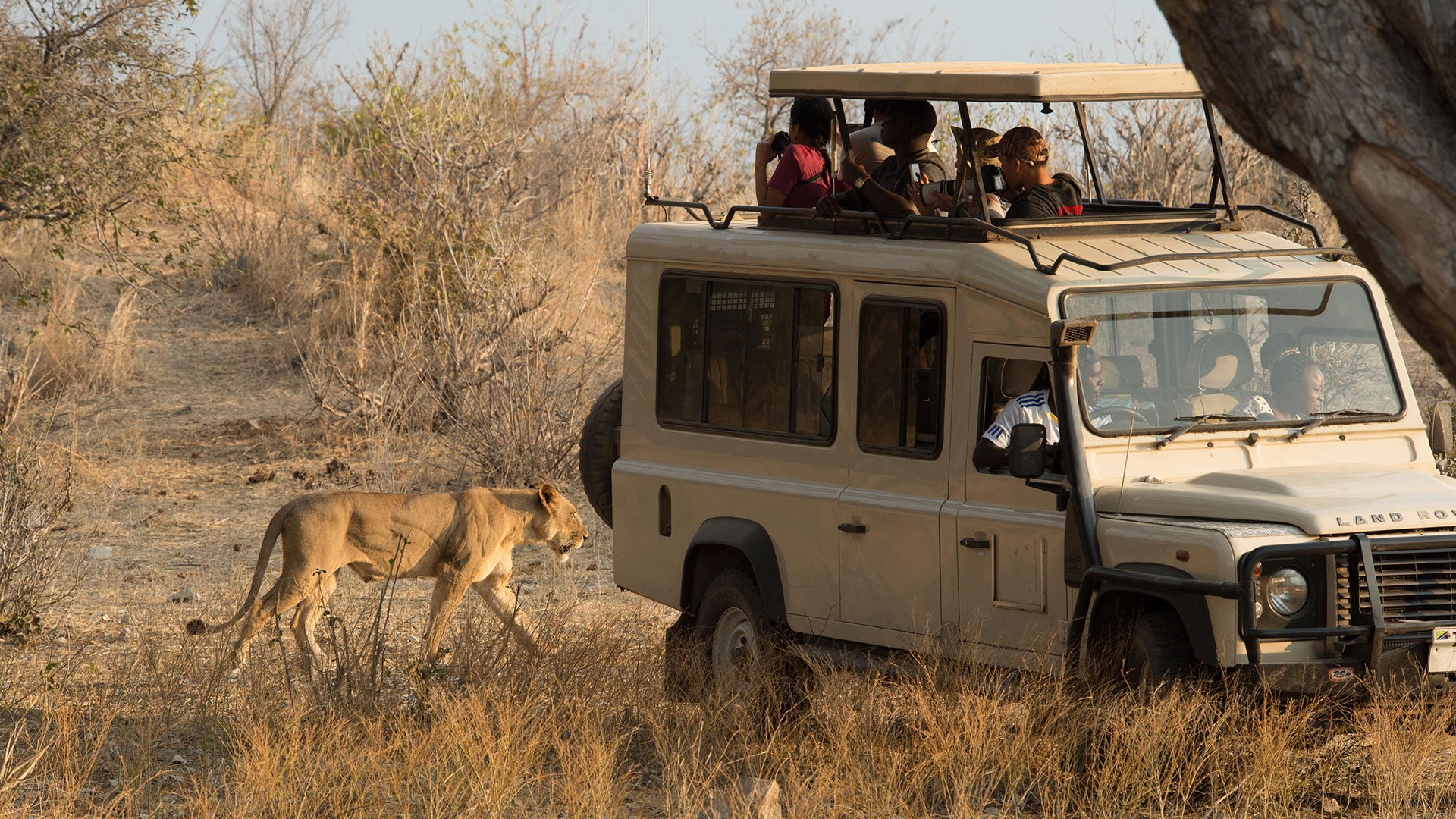 Africa-2019