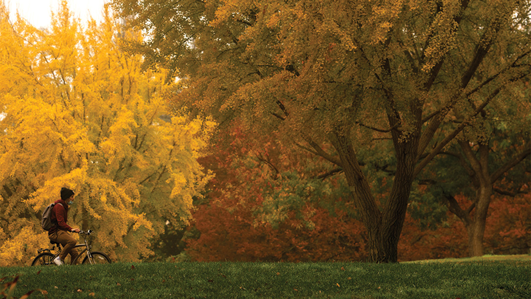 Arboretum