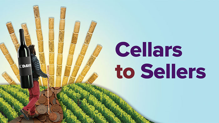 Cellars-To-Sellers-700x395