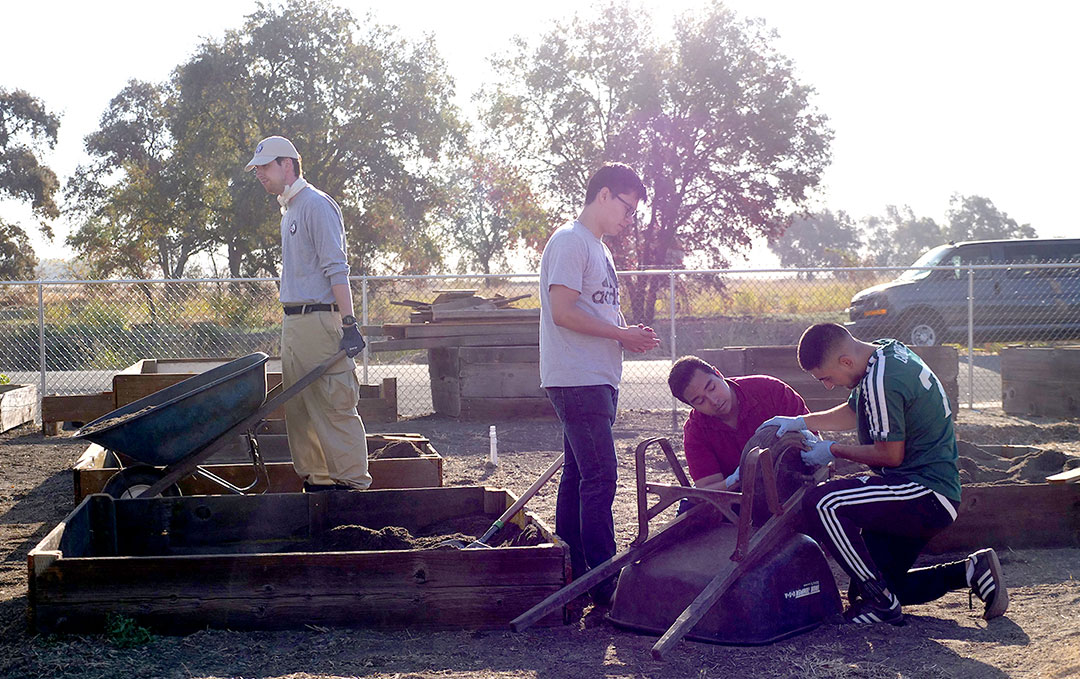 Community-Garden-UC-Davis-Magazine-4