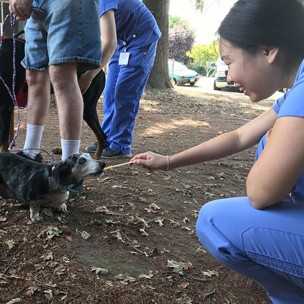 Knights-Landing-vet-services-UC-Davis Knights Landing vet clinic