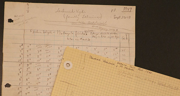 Larkmead-Salmina-Vineyard-Map-and-Data Olmo papers