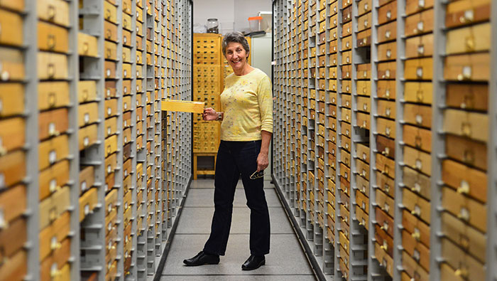 Lynn-Kimsey-700x395 Lynn Kimsey at the Bohart Museum