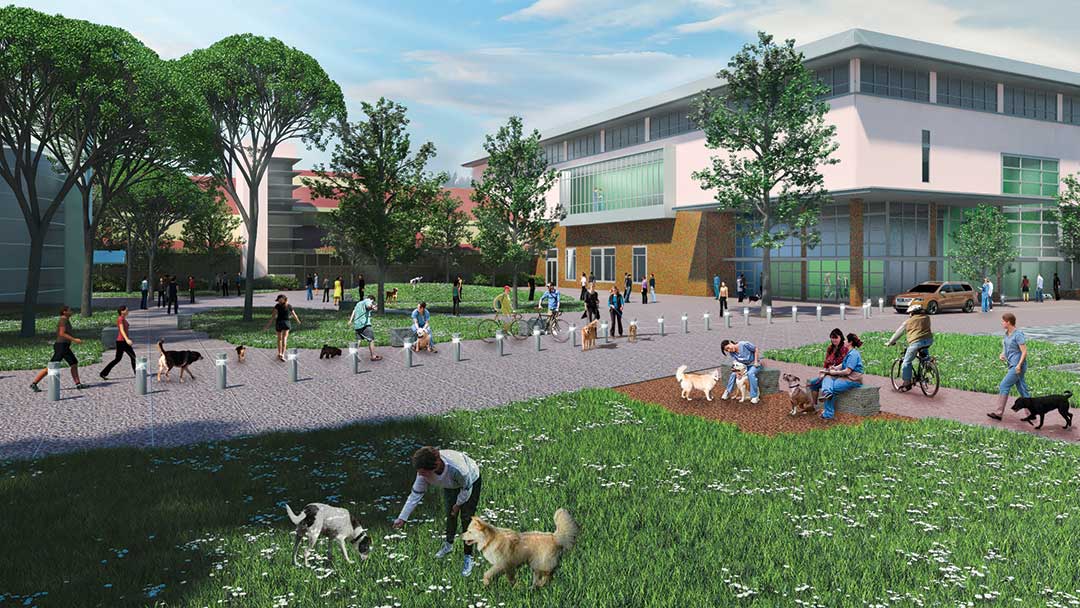 SAC-Rendering Rendering of new building