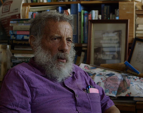 Shapiro-inset Professor Arthur Shapiro