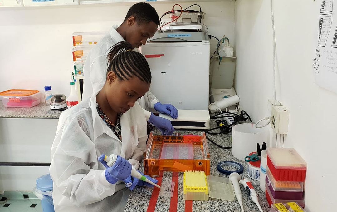 USAID-PREDICT-interns-web PREDICT interns in Tanzania