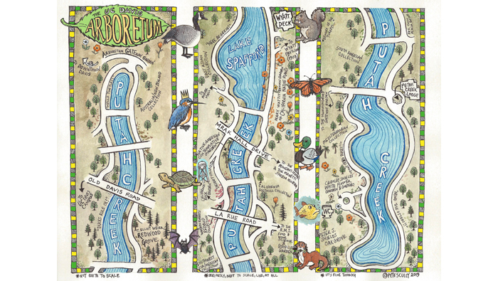 arbo-illustration Color illustration of the UC Davis Arboretum map