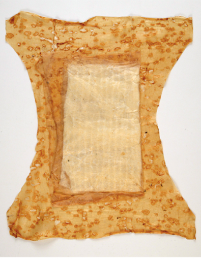 biodesign-diaper-inset Sorbit Diaper, a fully compostable diaper made solely from biobased materials.