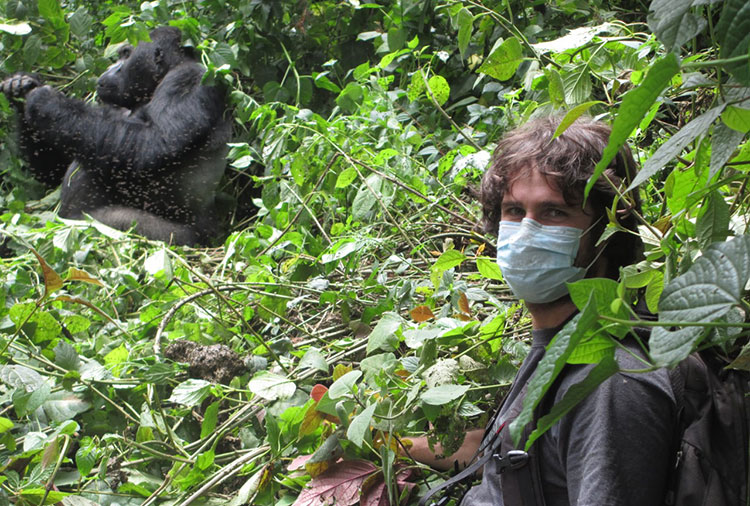caillaud-with-gorilla-inset Damien Caillaud is near a gorilla