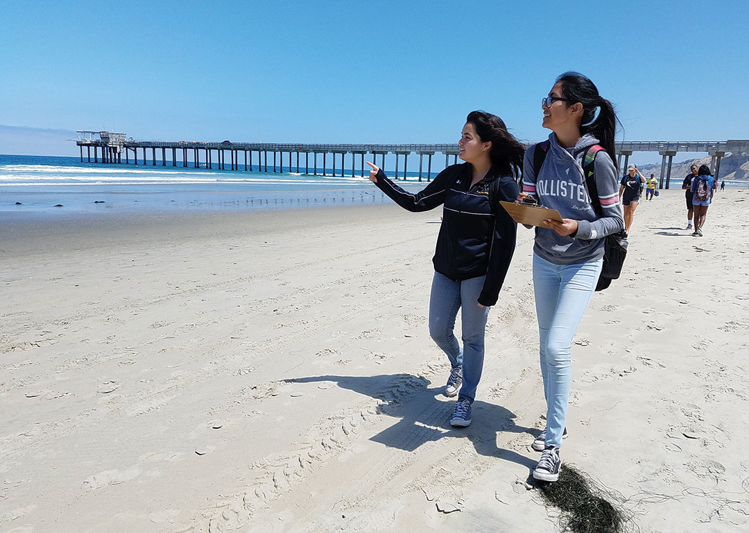 citizen-science-mpa-watch2 Two women walk on a wide beach overlooking the ocean holding clipboars. One is pointing to something in the water out of the camera frame.