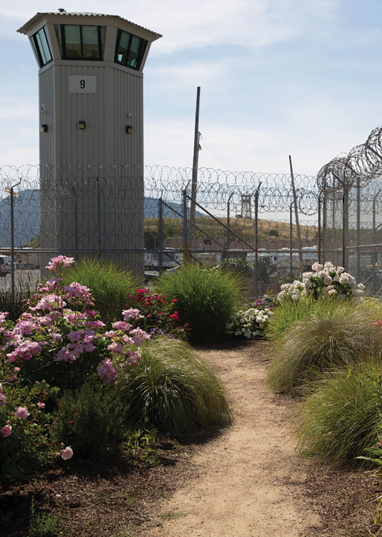 citizen-science-prison-garden