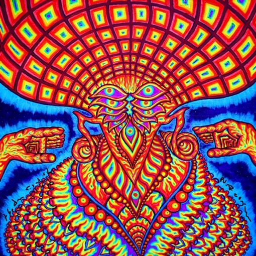 cover-The-Dream-Syndicate---The-Universe-Inside- The Universe Inside cover art