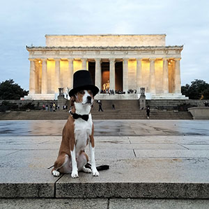 dog-300x300 John Quincy Dog Adams