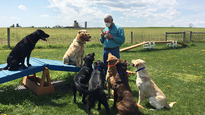 dog-group-700x395 Pat Nolan with COVID detection dogs