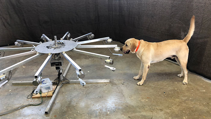 dog-training-wheel-web Dog smell training wheel