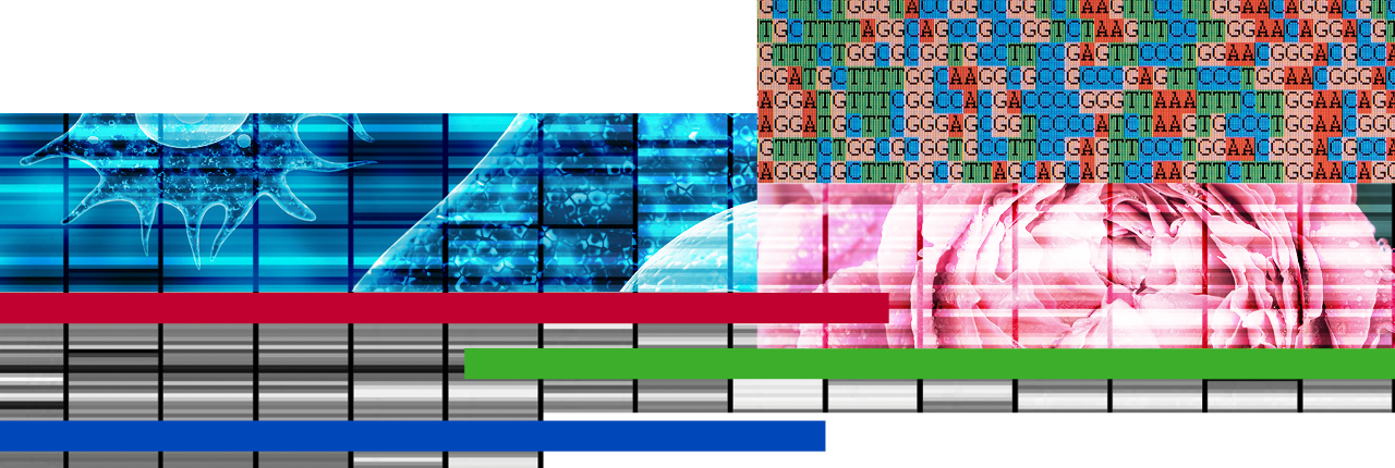 ebp-second decorative graphic with DNA sequences, plants and animals