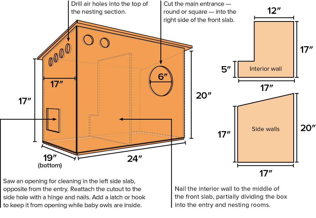 owl-box-schematic Schematic showing how to build an owl box