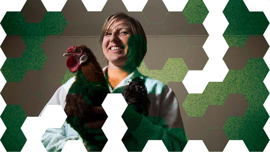 paradigm-shift-makegon Professor Maja Makagon holds a chicken