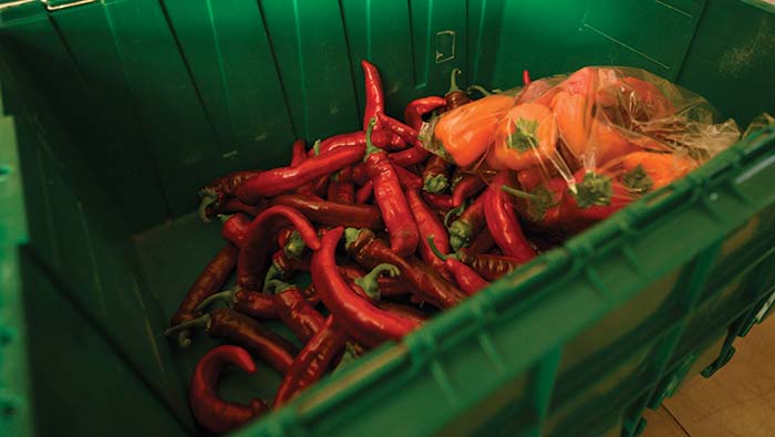 peppers-in-bin Peppers in a bin awaiting transport