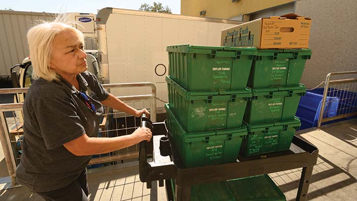 produce-delivery A woman loads boxes on a loading dock