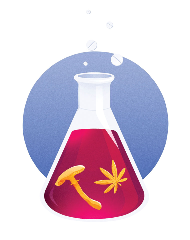 psychedelics-flask illustration of chemical flask with pot leaf and mushroom