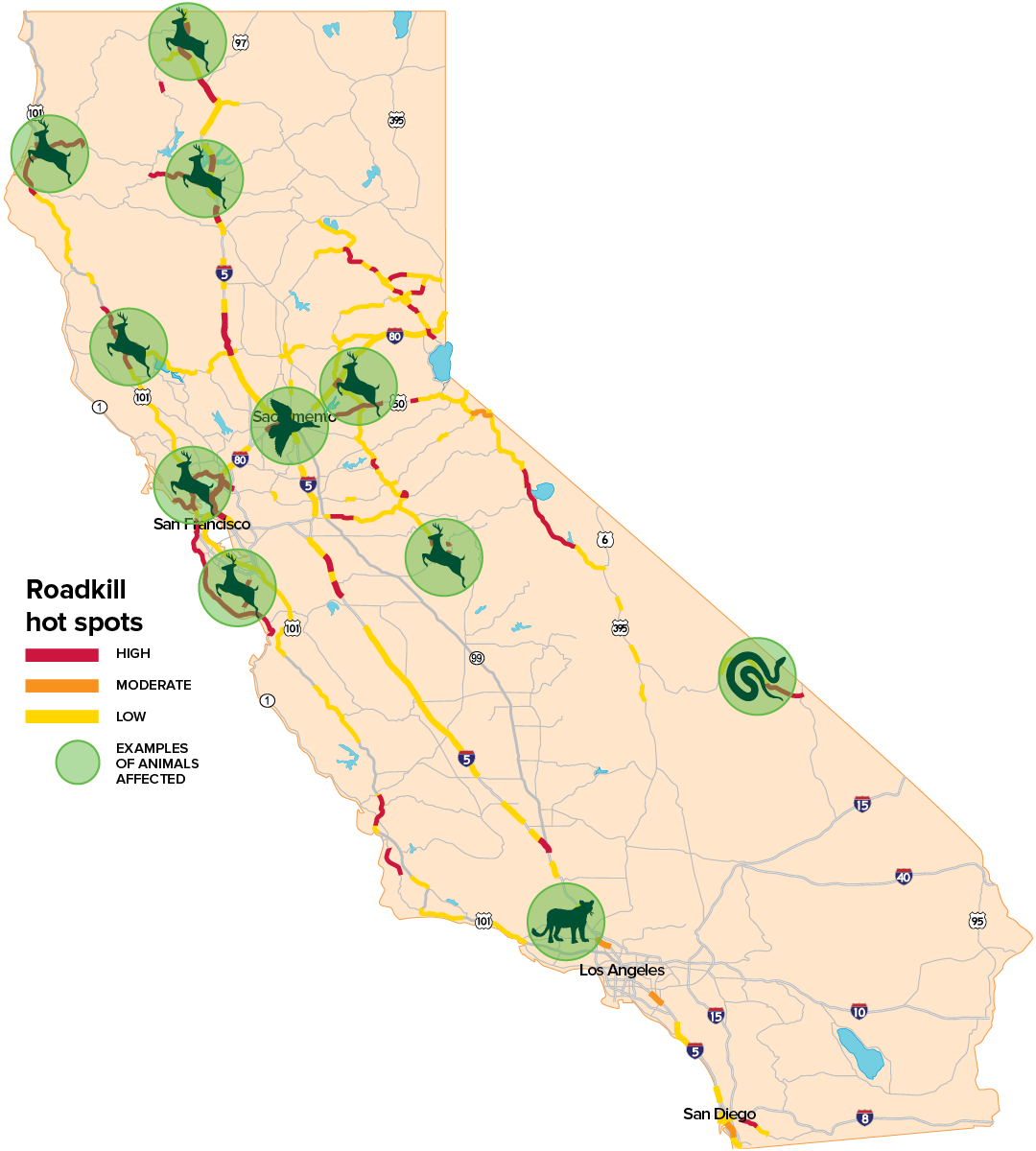 roadkill-warriors-map Illustration: map showing roadkill hotspots in California