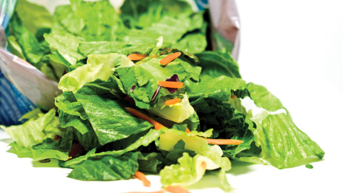 salad-web Salad