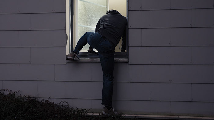 thief-web Thief climbing in window