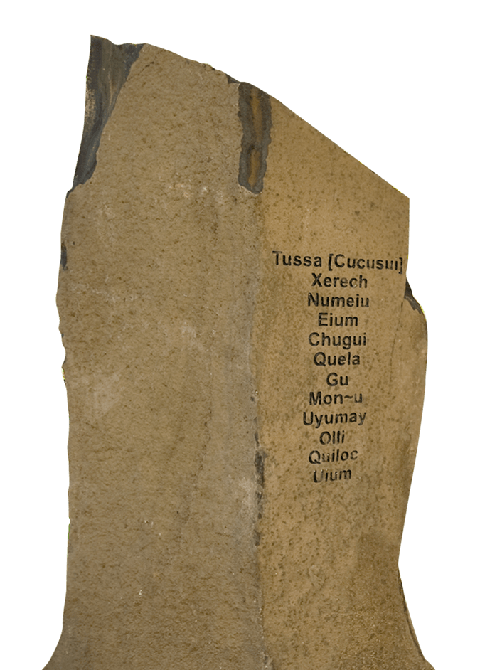 Torn brown paper label with vertical list of printed plant names