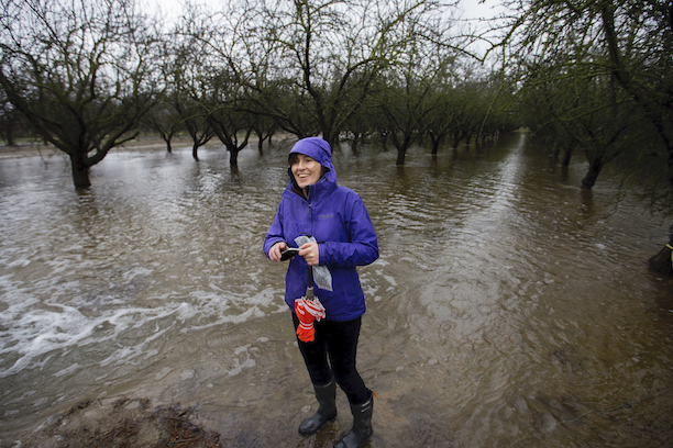 Woman in purple jacket stands in rain in almond orchard for groundwater recharge experiment.