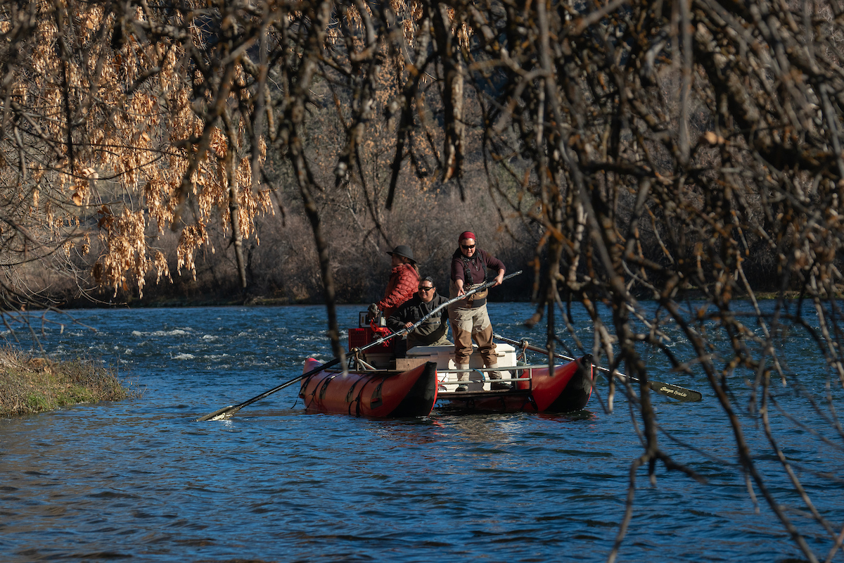Yurok Tribal Fisheries in red pontoon framed by tree brances float cold Klamath River
