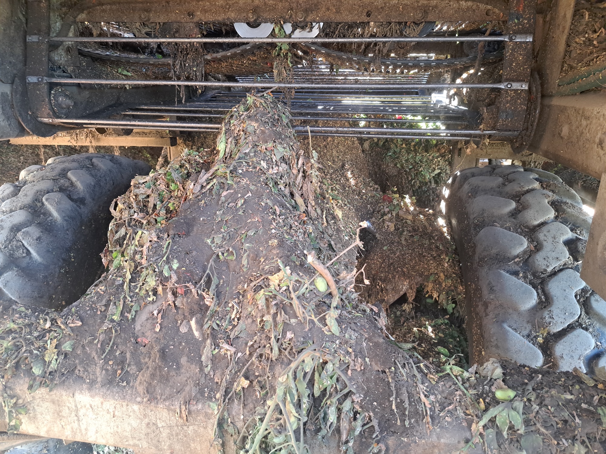 Tractor underside with large mud and root mass lodged between rear tires. (UC Davis)