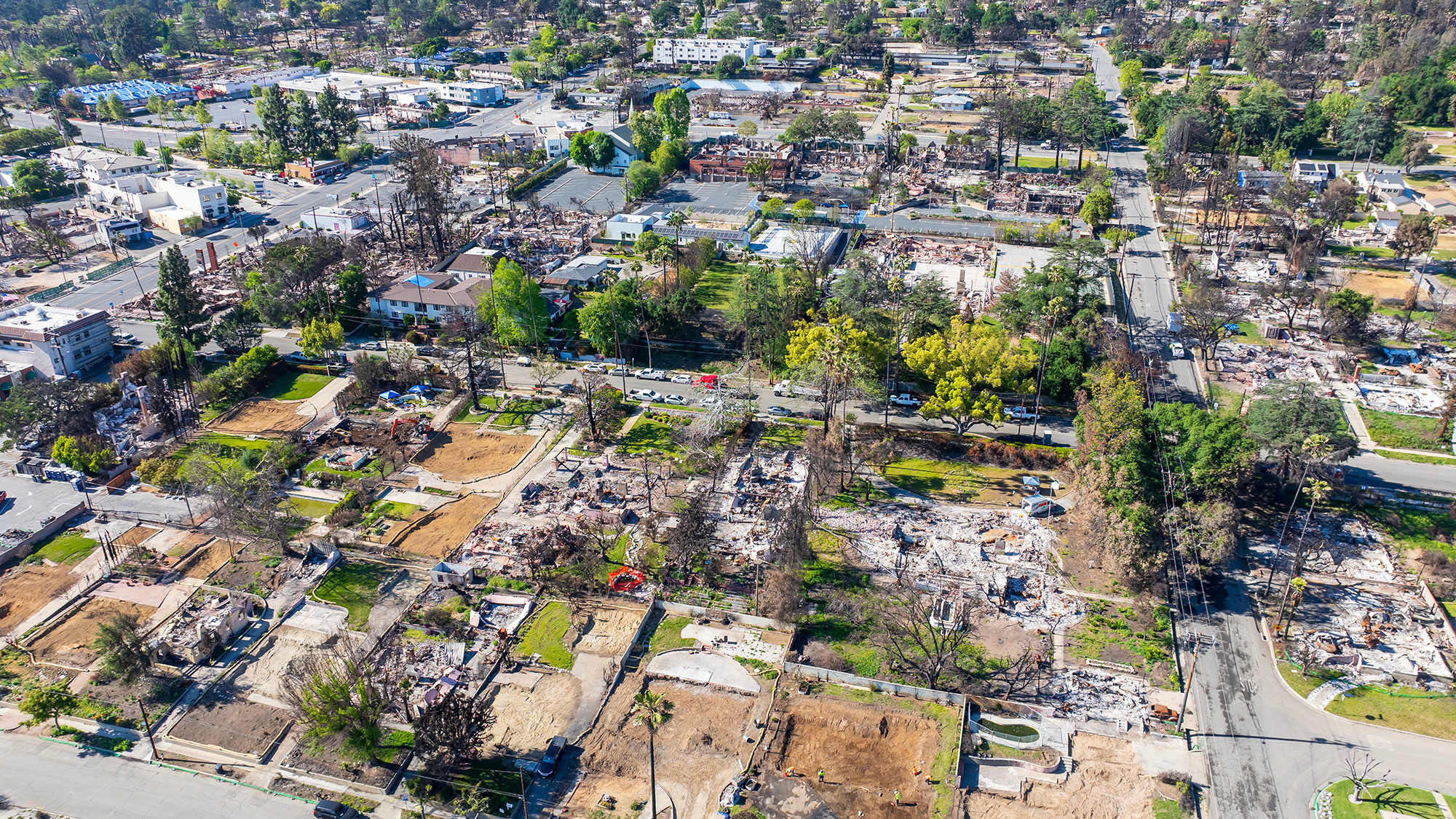 Aerial photo of suburb with many homes reduced to charred foundations