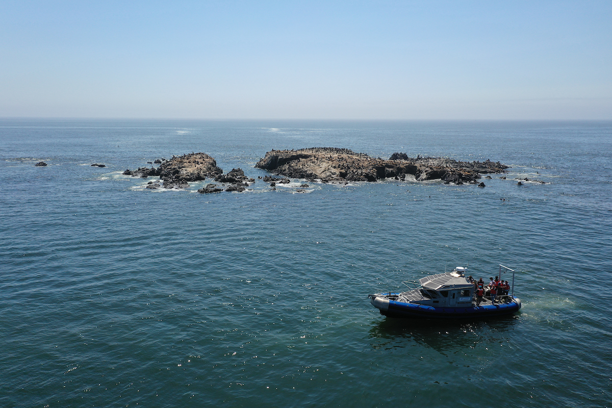 A boat from the UC Davis Bodega Marine Laboratory travels along the California coast in the Pacific Ocean. (UC Davis)