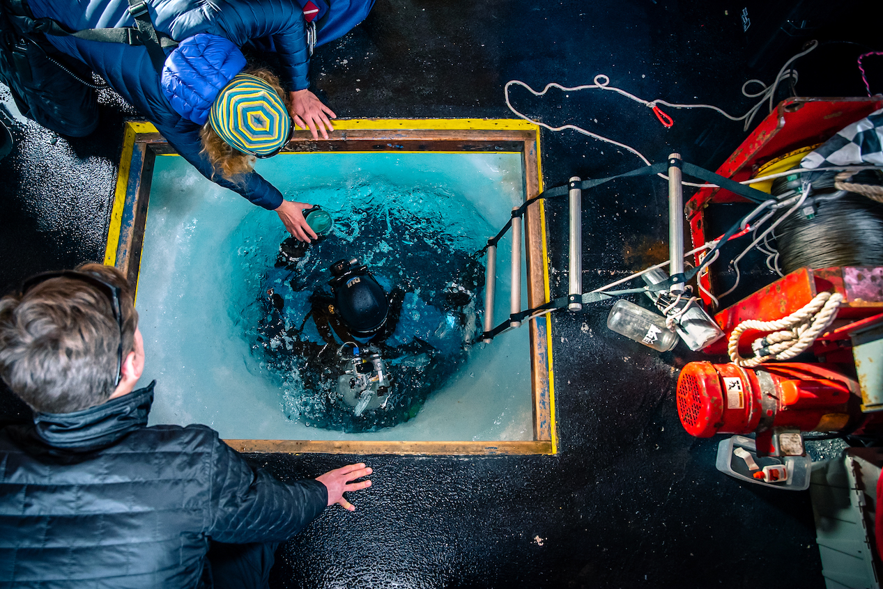 Woman diver drops down into ice hole to dive in Antarctica