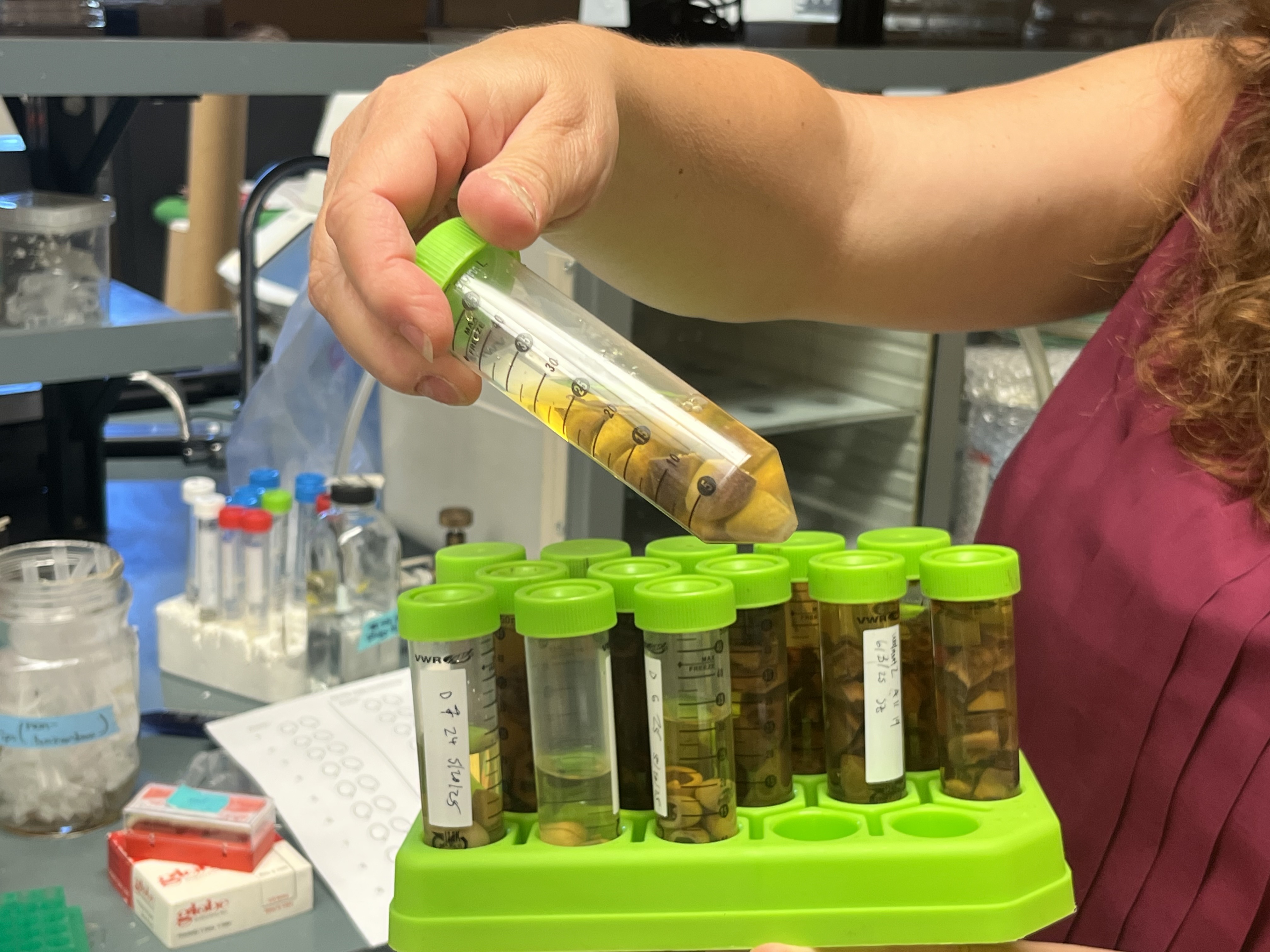 A person's hand picks up a scientific tube containing pistachios in a lab