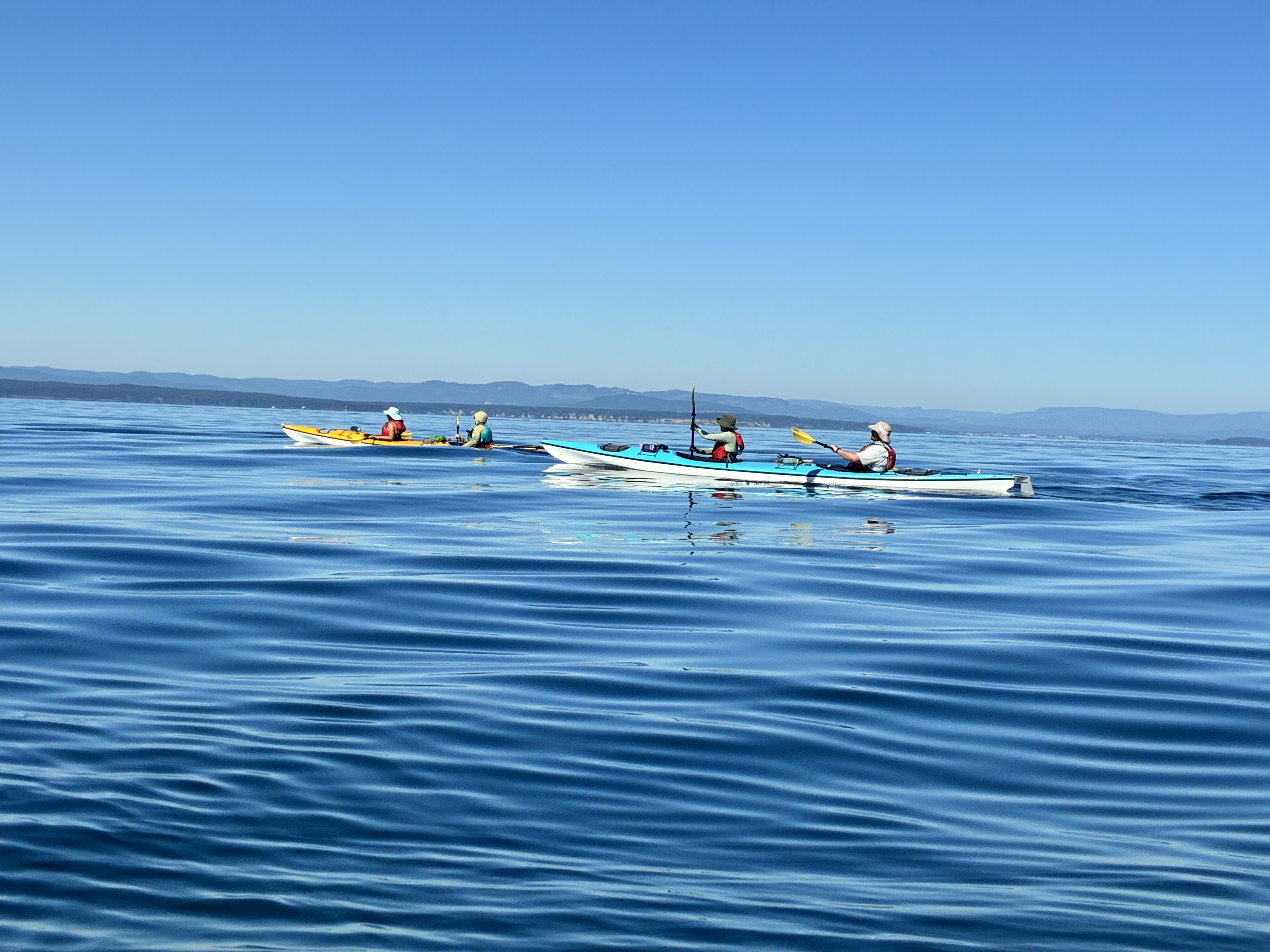 Four kayakers paddling on a calm blue sea under a clear sky