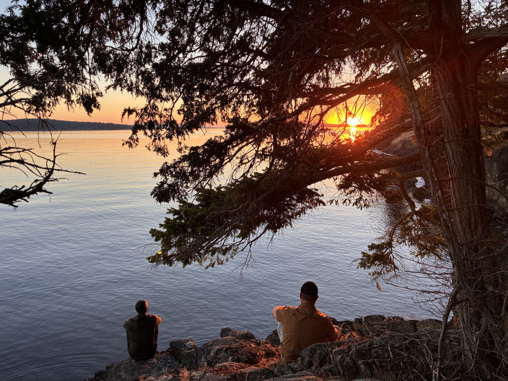 Two people silhouetted on rocky shore under trees at orange sunset over calm water