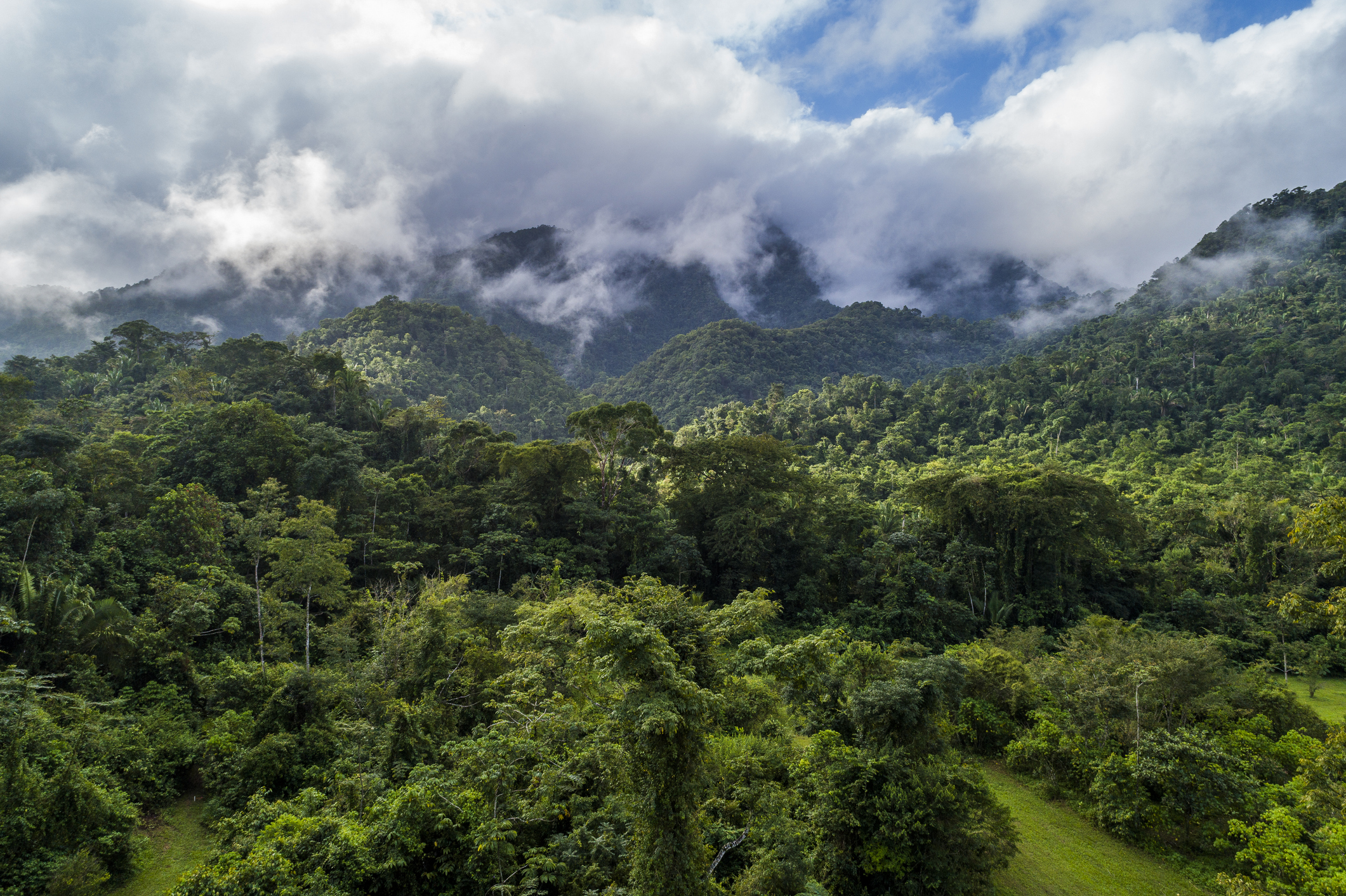 clouds swirl over densely forested mountains and trees 