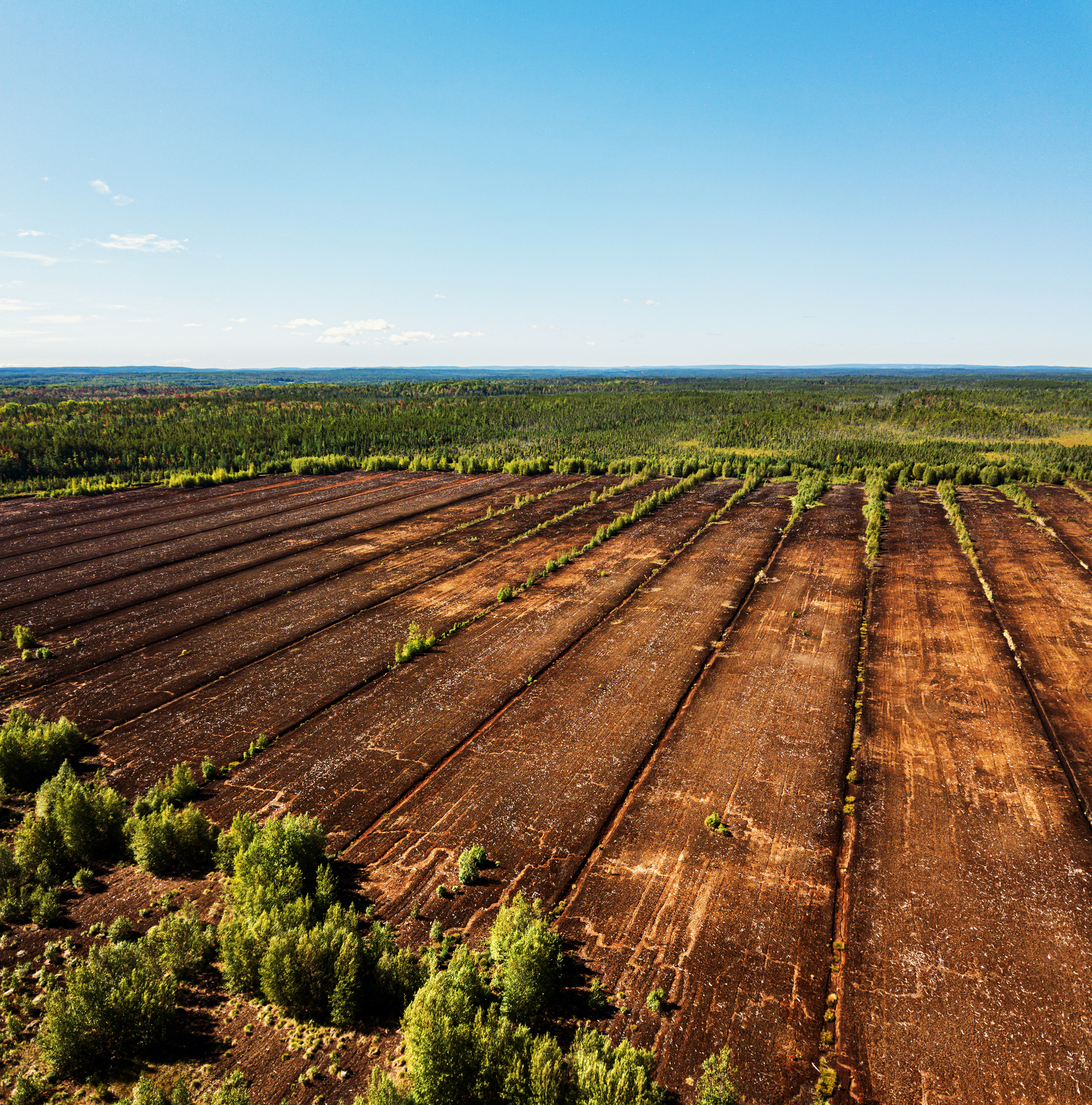Peat farm shows large patch of barren soil with forest of trees in background