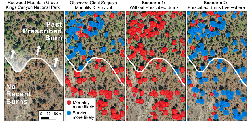 Four maps with river and red mortality points and blue survival points across scenarios