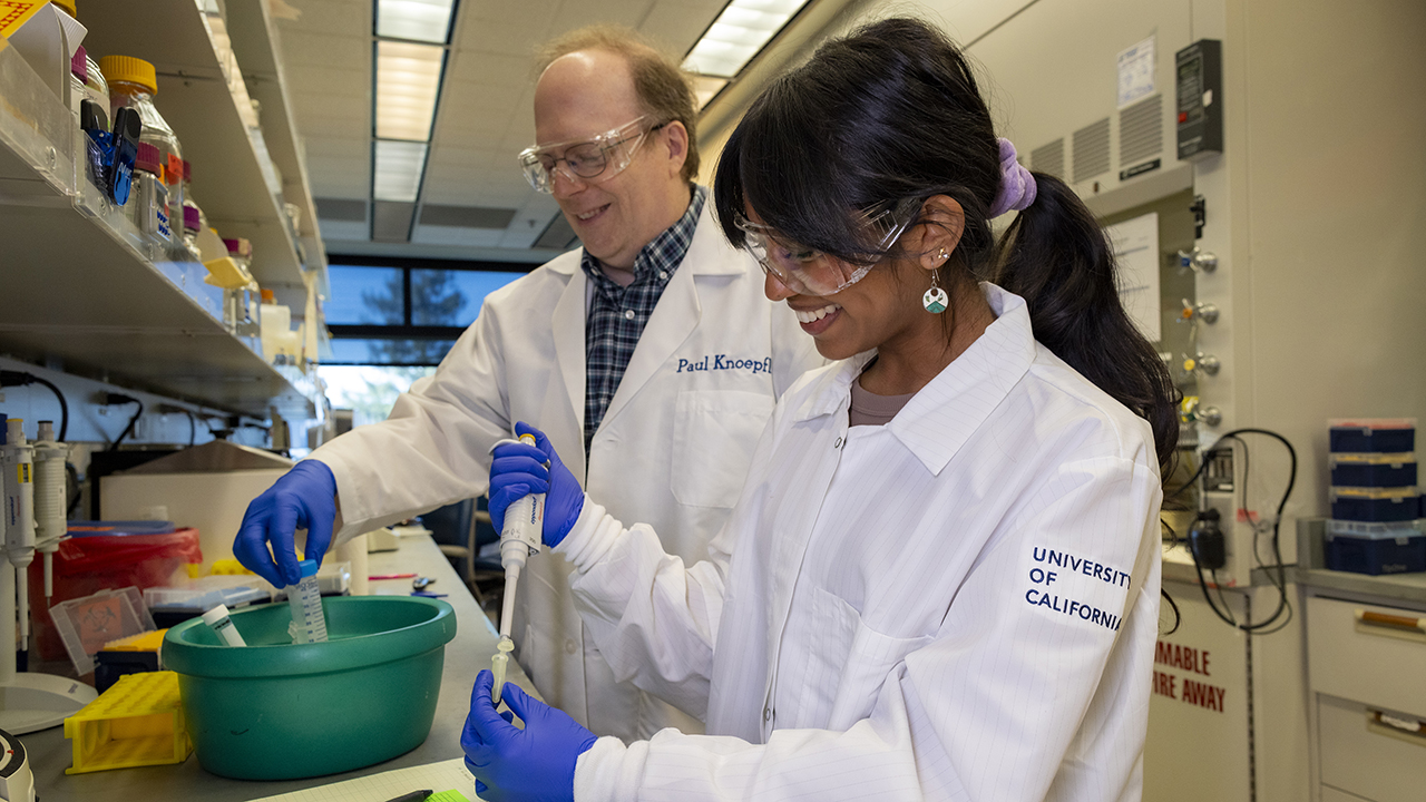 In white lab coats, Avantika Gokulnatha and Professor Paul Knoepfler work at a lab bench.