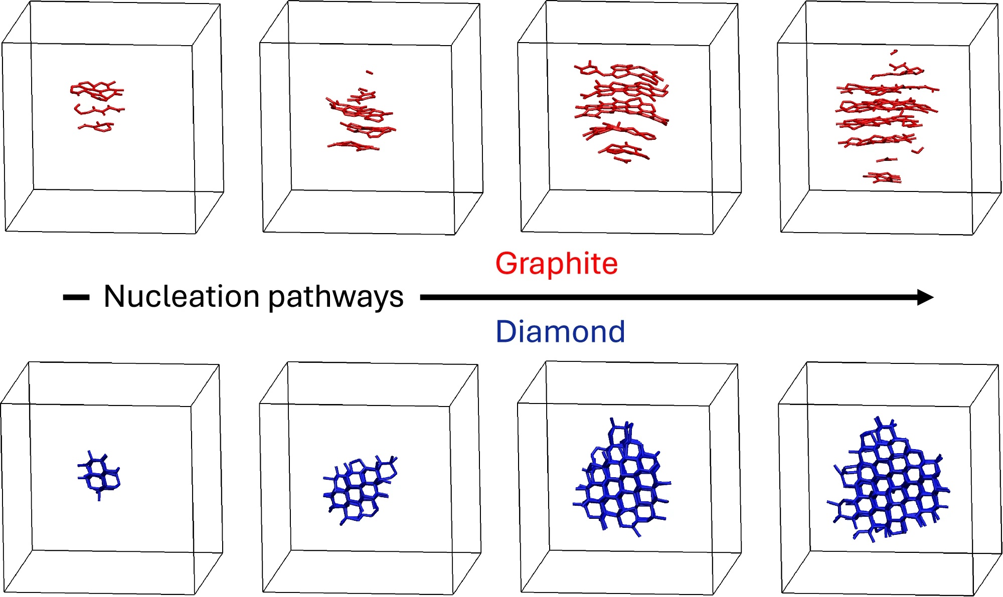 Two horizontal rows of four square boxes. In each box are nets made of hexagons. The top row is in red and shows flat sheets forming from left to right, the bottom row is in blue and shows a solid structure forming.